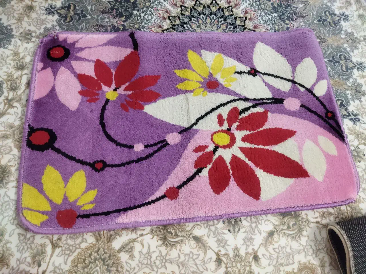 پادری|پادری|پاکدشت, پاکدشت (مامازند)|دیوار