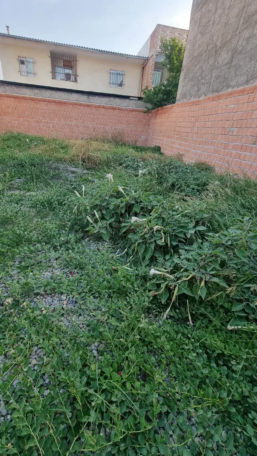 اجاره ملک جهت انبار کالا به متراژ ۲۵۳متر ویلاشهر|اجارهٔ خانه و ویلا|گرگان, |دیوار