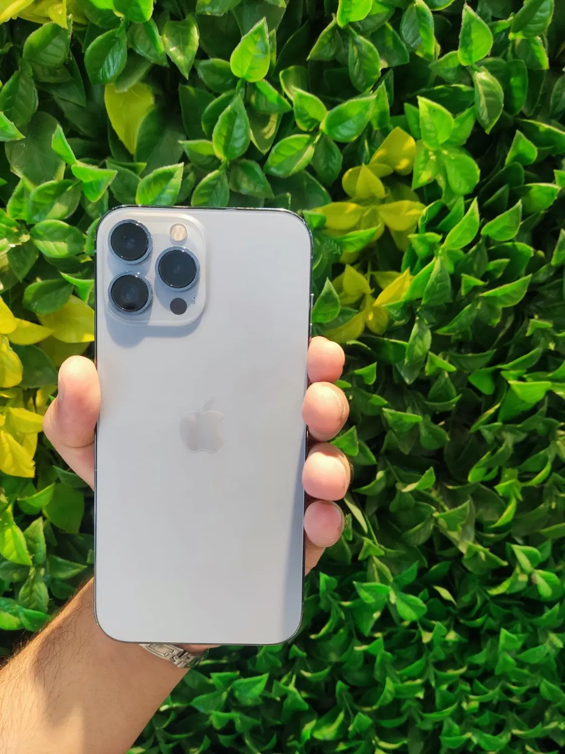 iPhone 13 pro max|موبایل|بابل, |دیوار