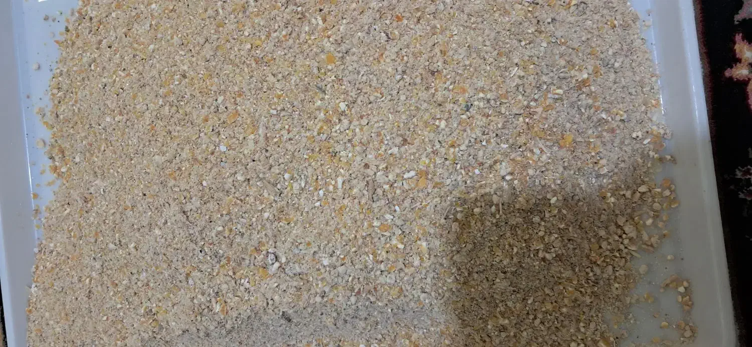 دان بوقلمون|حیوانات مزرعه|مبارکه, |دیوار