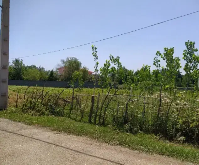 زمین ۱۰۰ متری|فروش زمین و ملک کلنگی|رشت, لاکان|دیوار