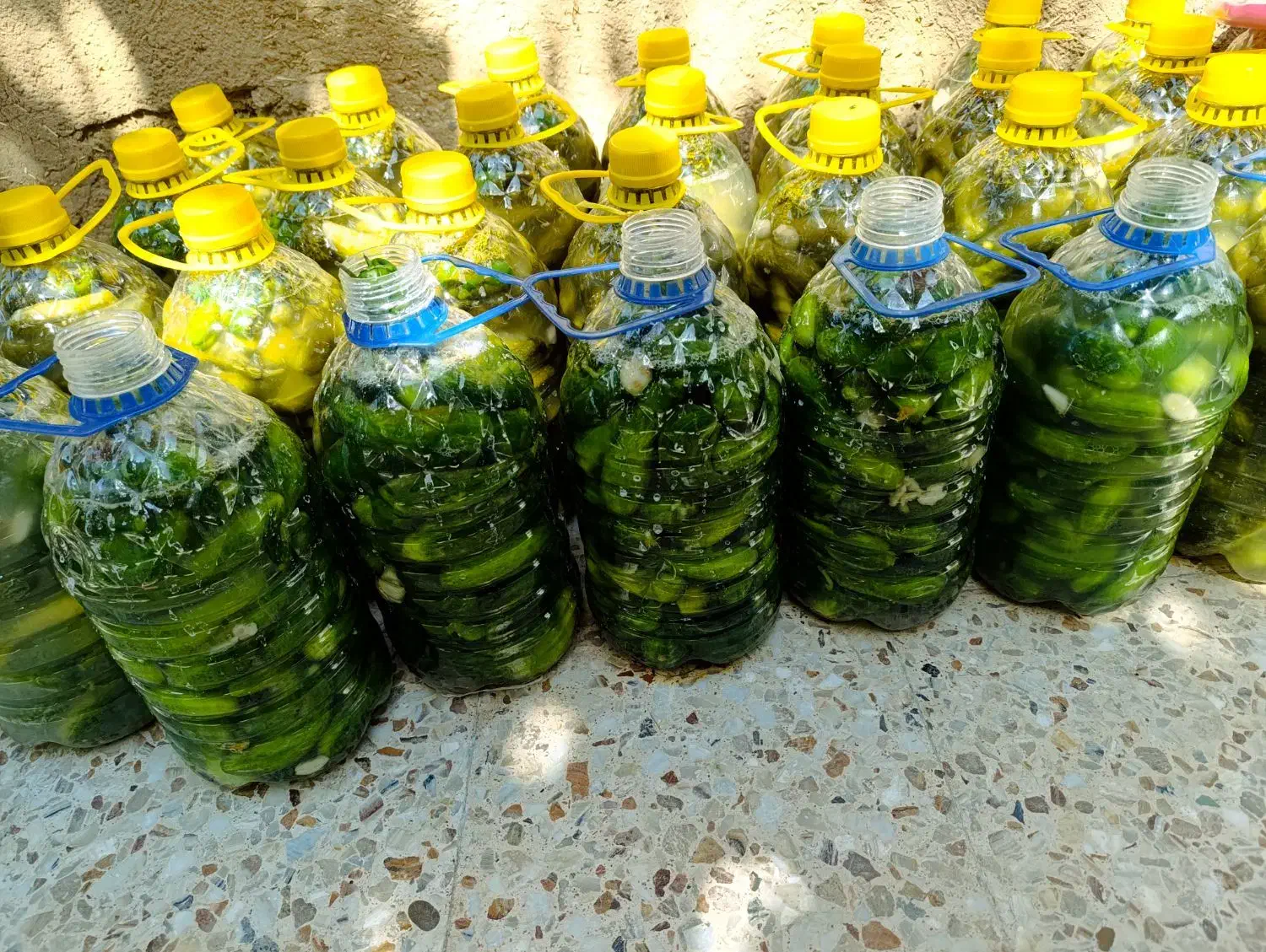 خیار شور|خوردنی و آشامیدنی|سردرود, |دیوار