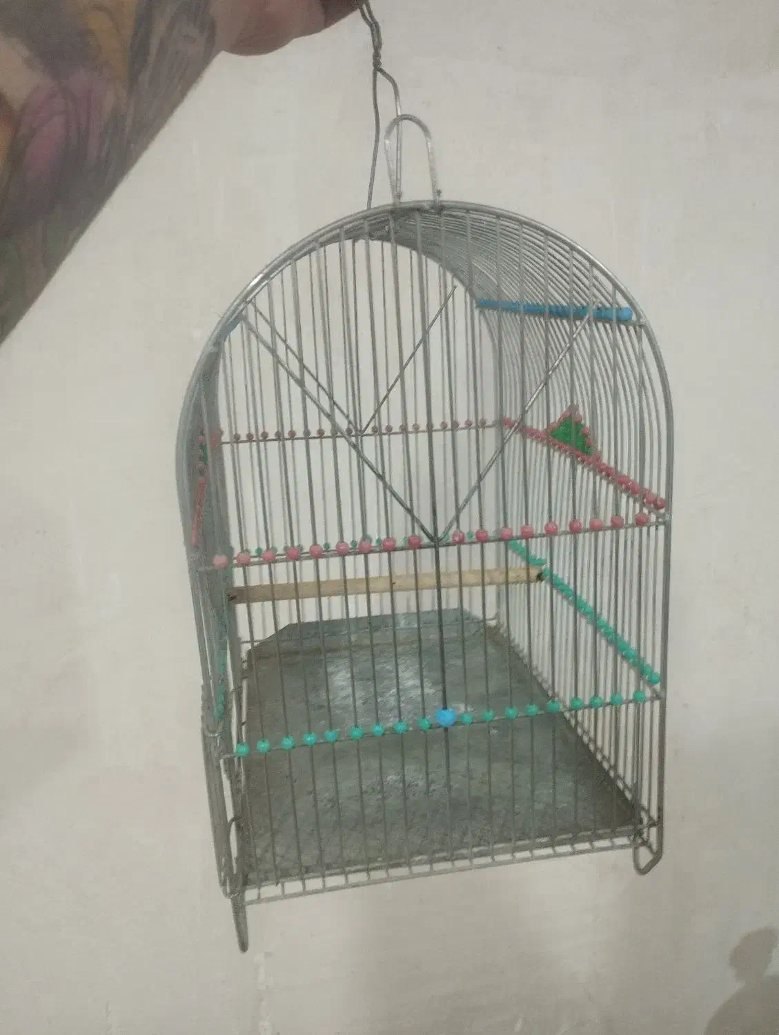 قفس|پرنده|اردبیل, |دیوار