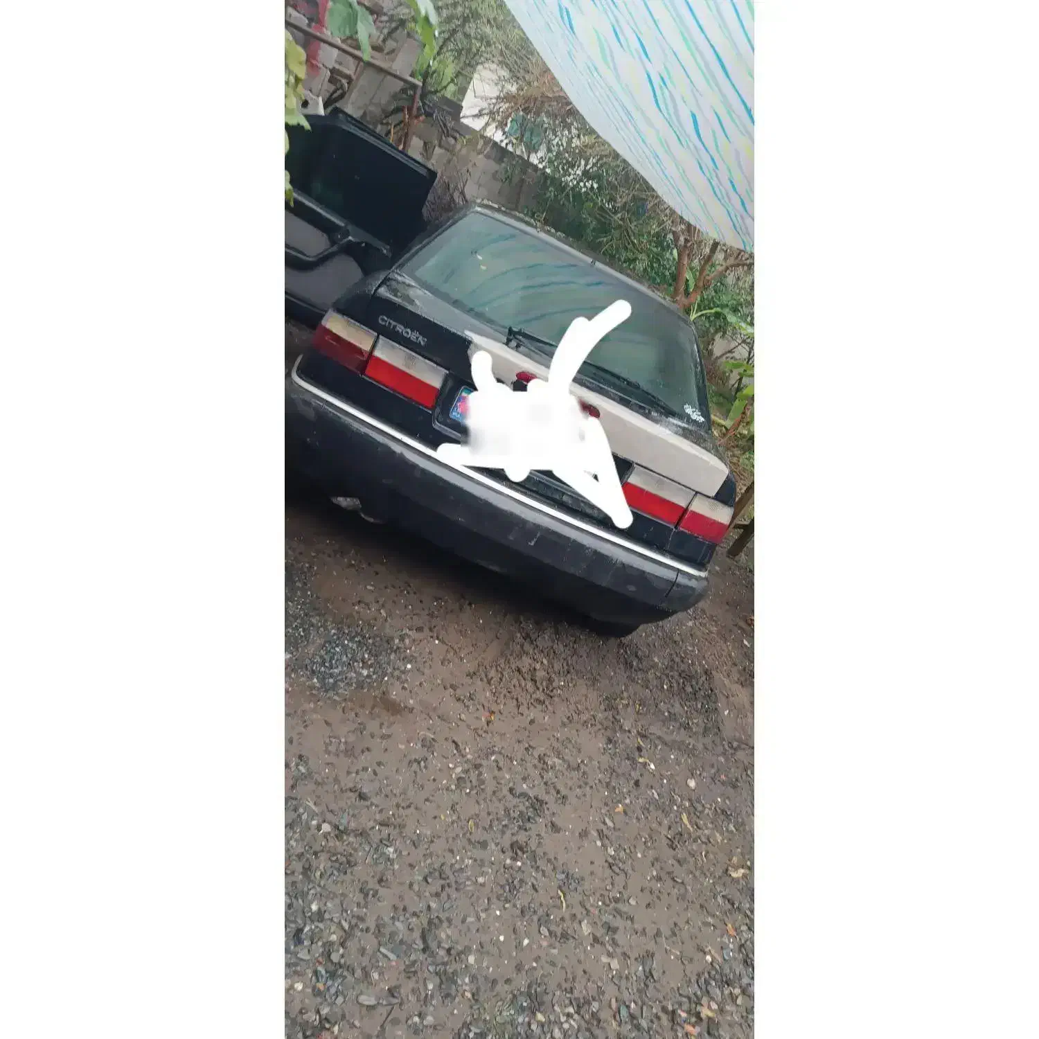 زانتیا 2000|خودرو سواری و وانت|لنگرود, |دیوار