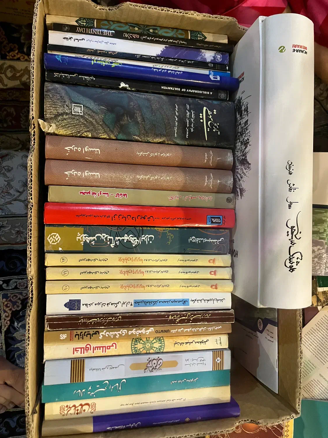 کتاب های معماری تاریخی|کتاب و مجله تاریخی|تهران, باغ فیض|دیوار