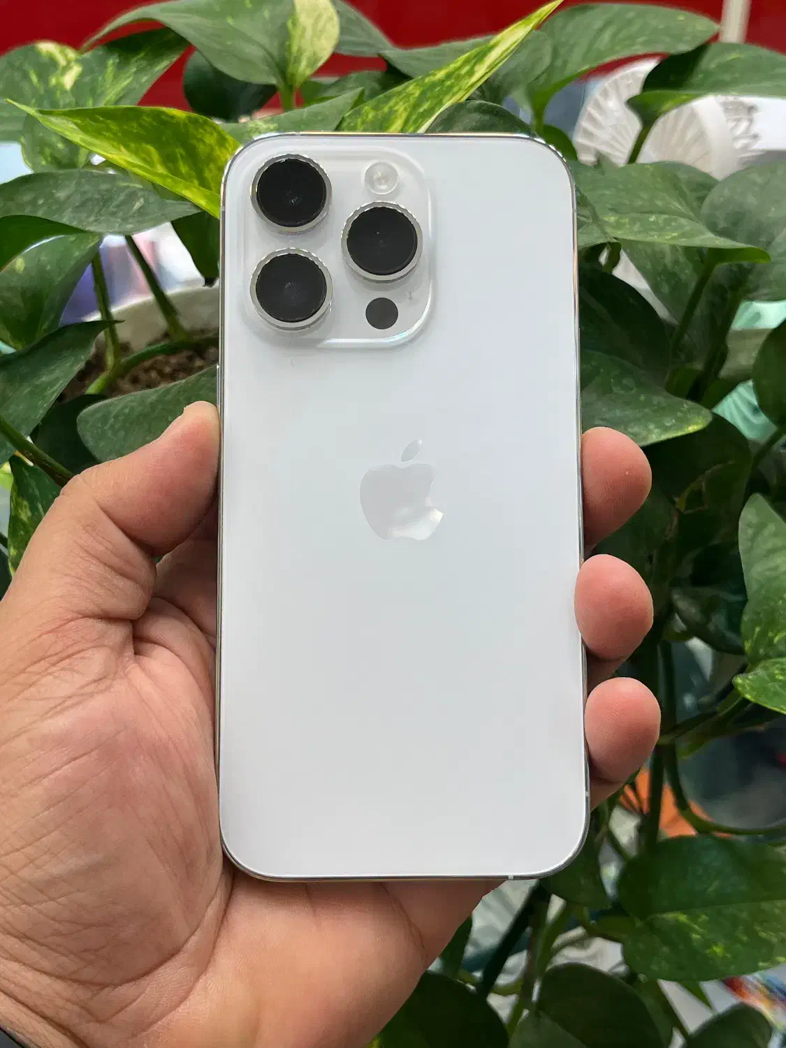 Iphone 14 pro|موبایل|شیراز, گود عربان|دیوار