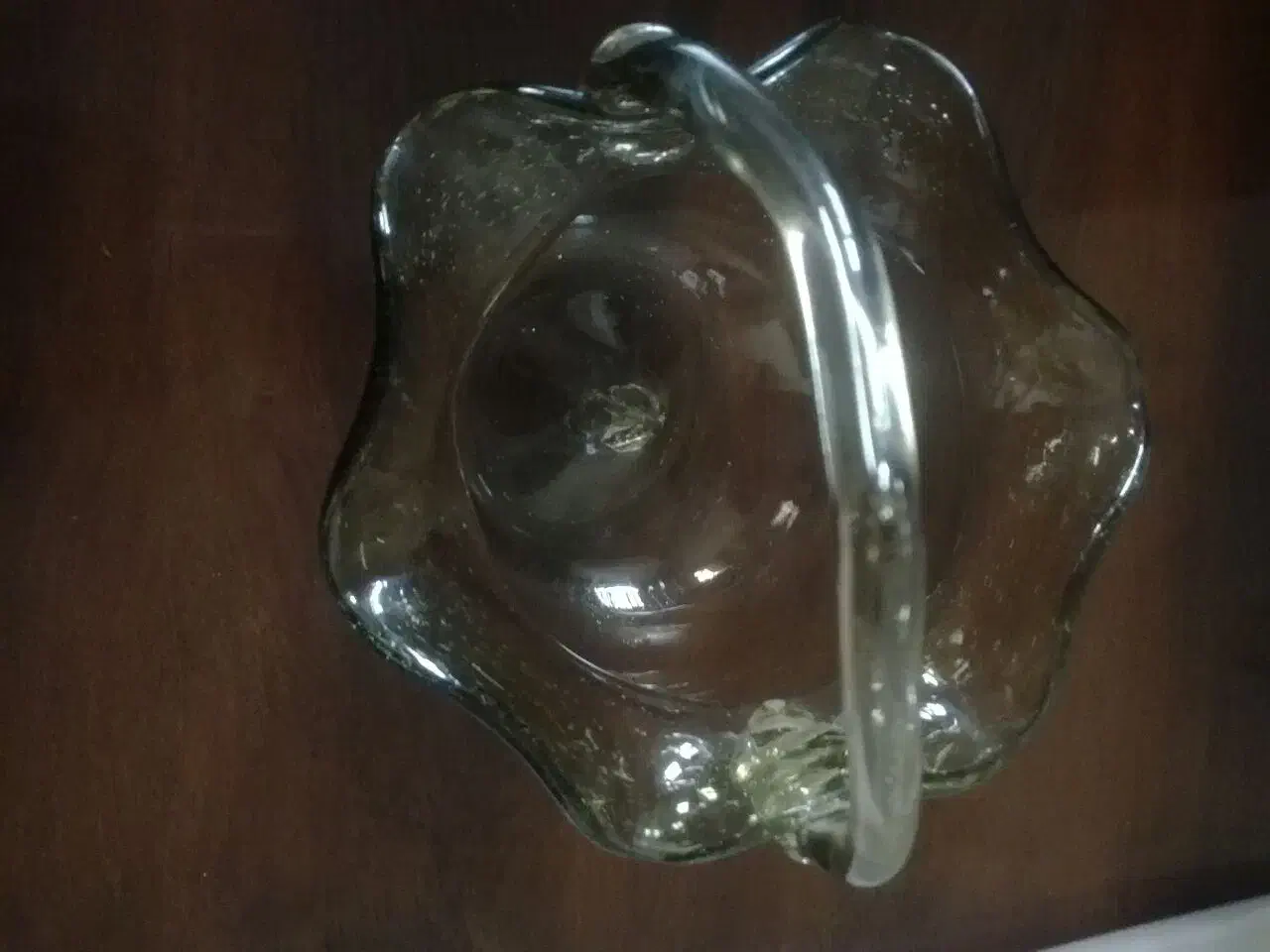 تنگ ماهی دسته دار|ماهی|رشت, گلباغ نماز|دیوار