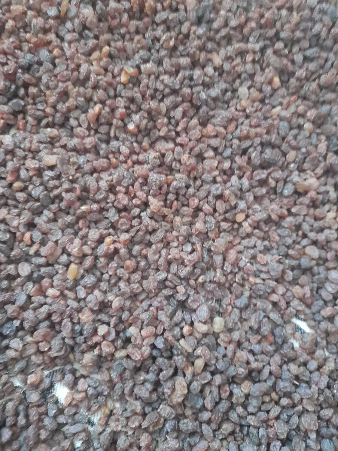 کشمش امسال|خوردنی و آشامیدنی|اشتهارد, |دیوار