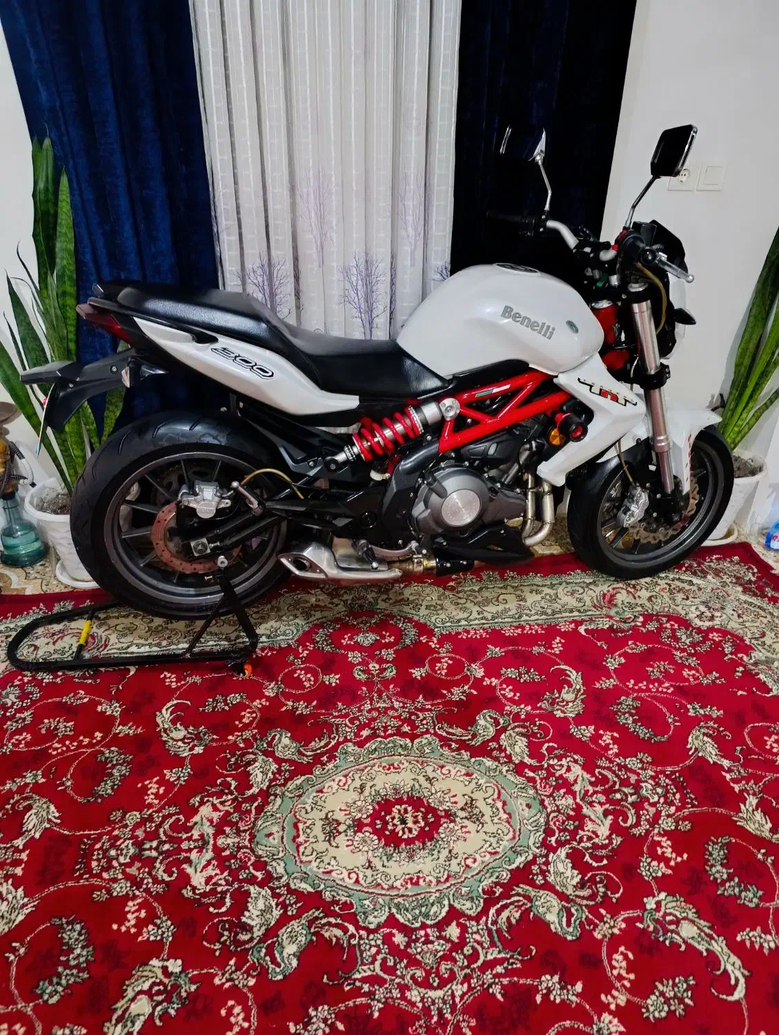 بنلی 300|موتورسیکلت|رشت, گیل|دیوار