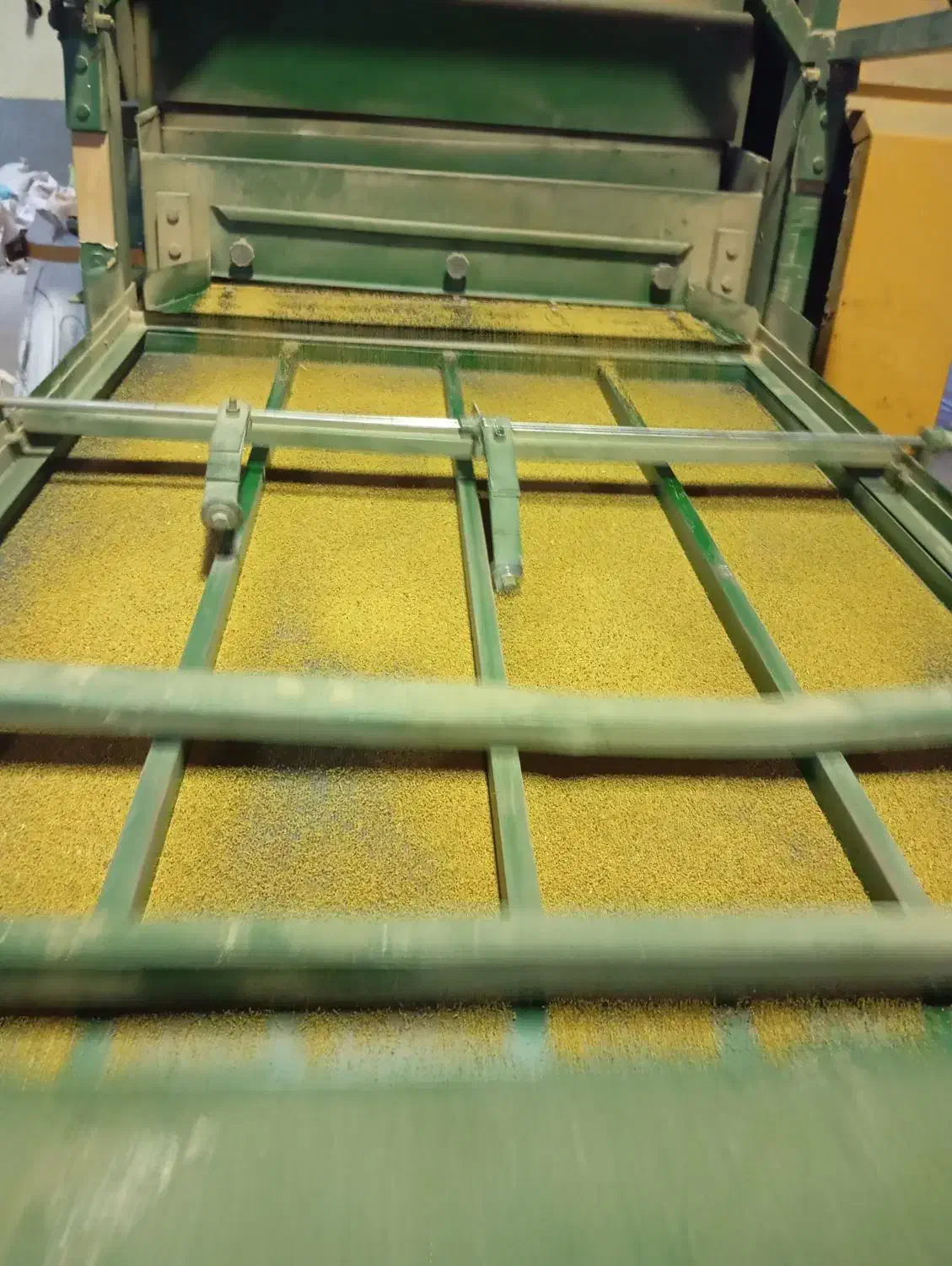 بذر یونجه ماهان درجه یک|خدمات باغبانی و درختکاری|تهران, شادآباد|دیوار