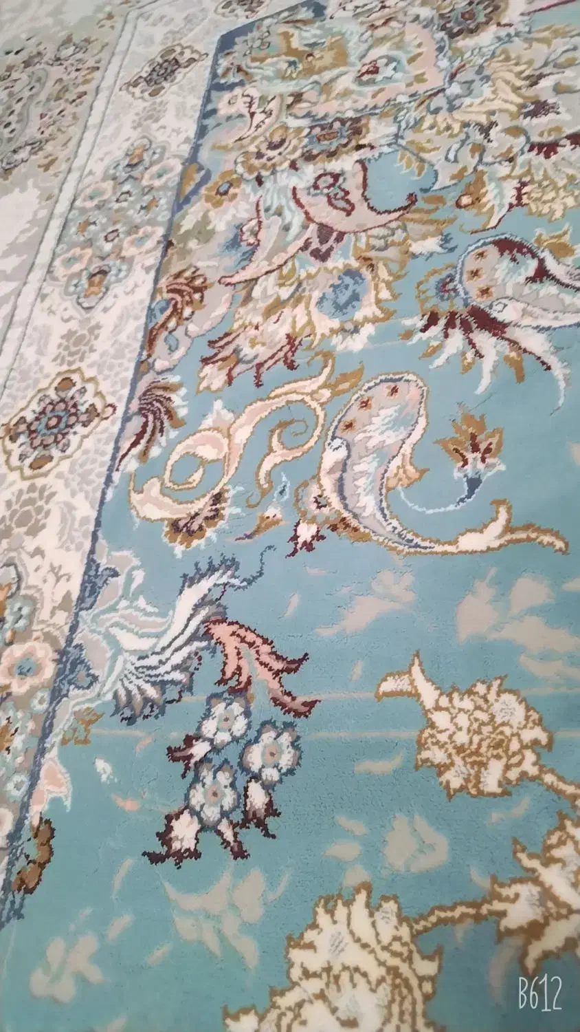 قالی|فرش|جاجرم, |دیوار