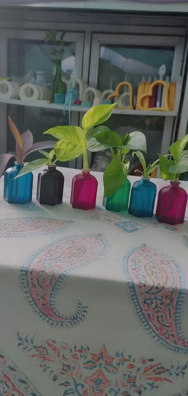 شیشه رنگی|صنایع دستی و سایر لوازم تزئینی|جیرفت, |دیوار