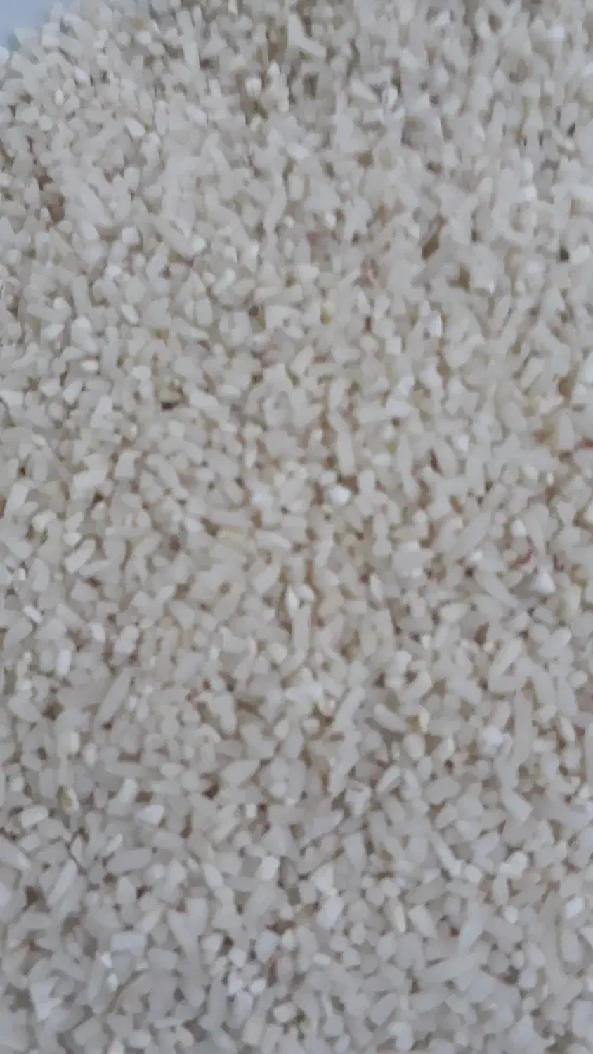 برنج نیم دانه برنجم دارم|خوردنی و آشامیدنی|اسلامشهر, شهرک واوان|دیوار