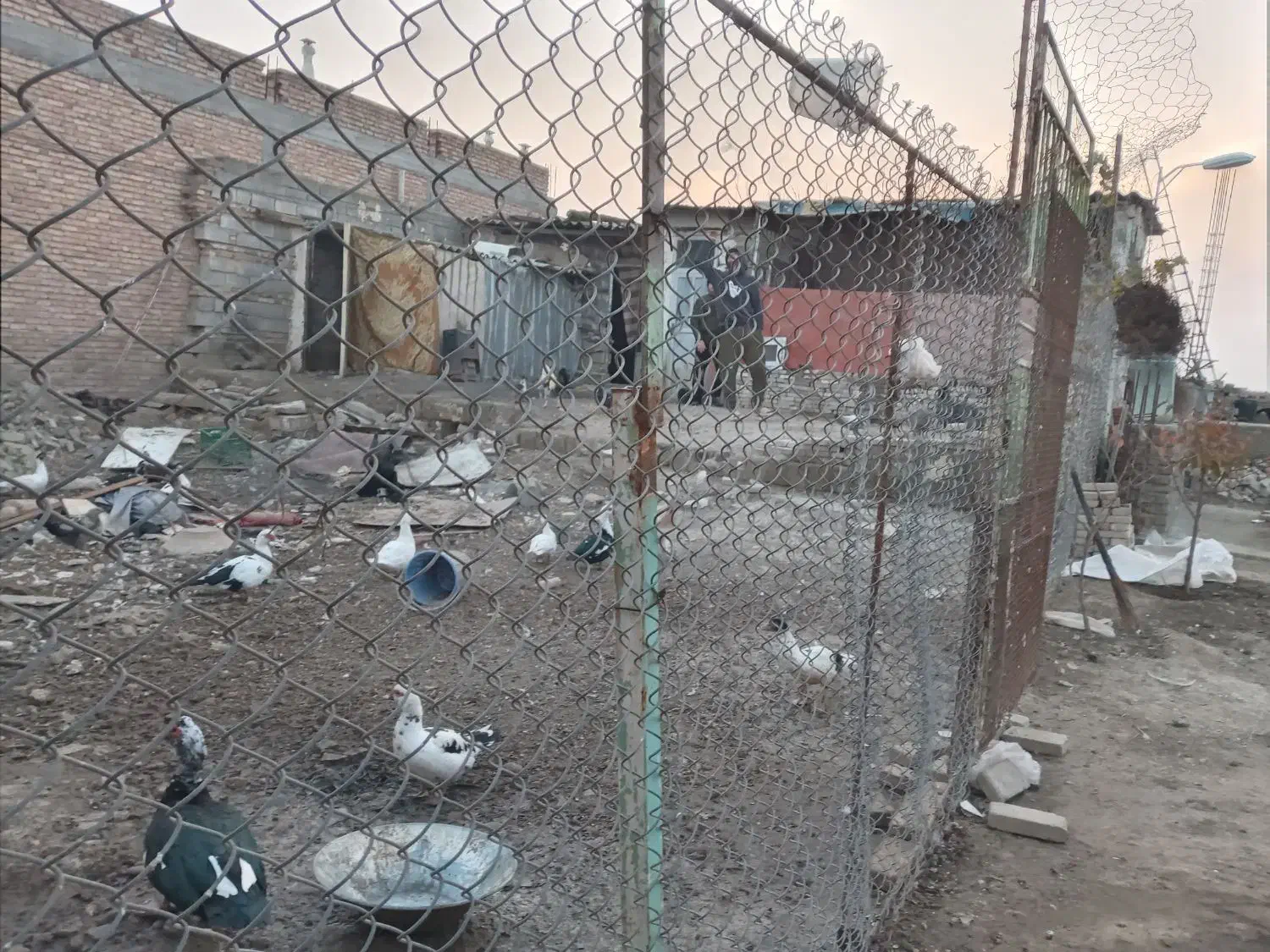 ملک|فروش زمین و ملک کلنگی|پارس‌آباد, |دیوار