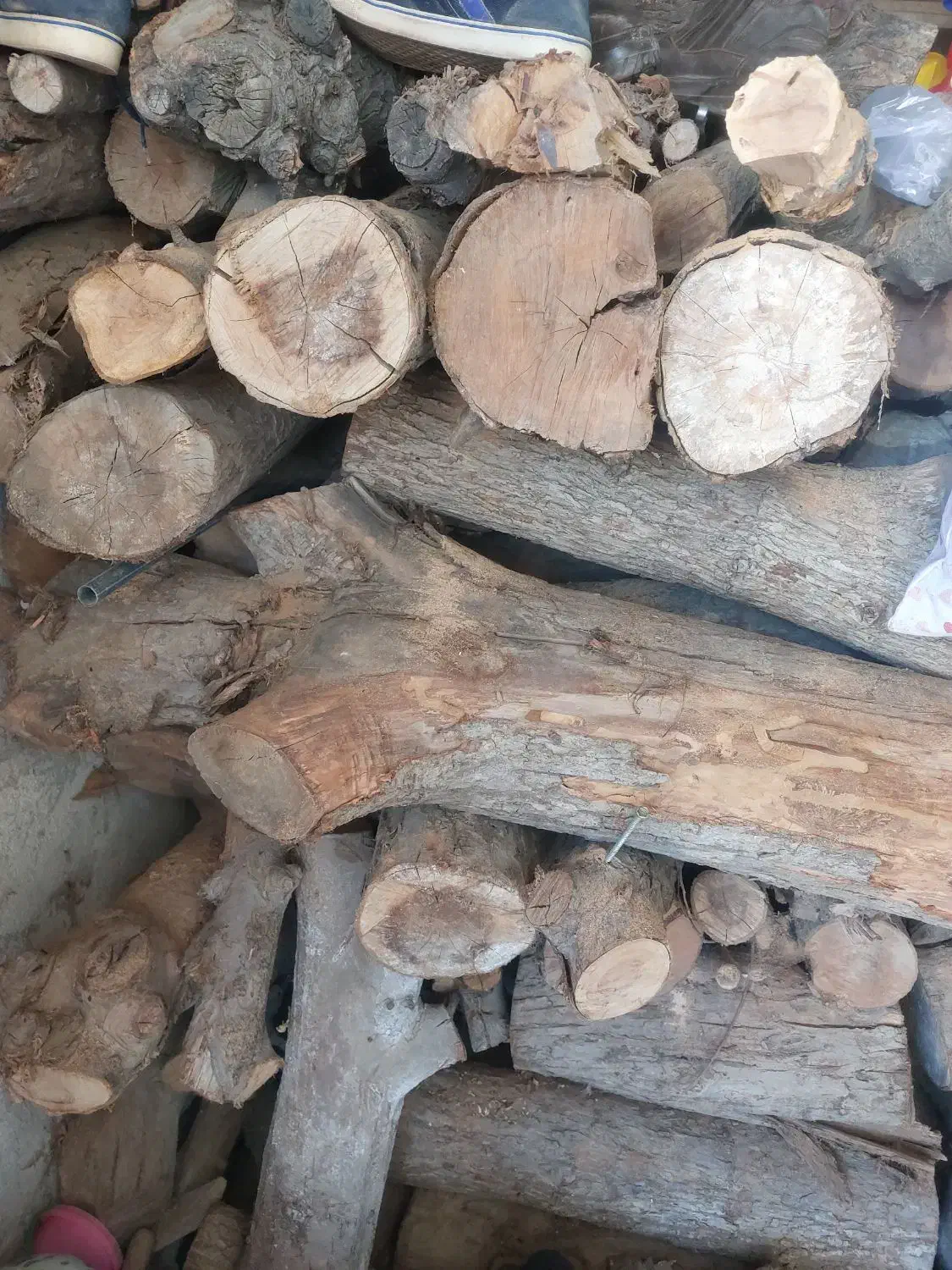 هیزم درخت سیب خشک خشک|مصالح و تجهیزات ساختمان|اهر, |دیوار