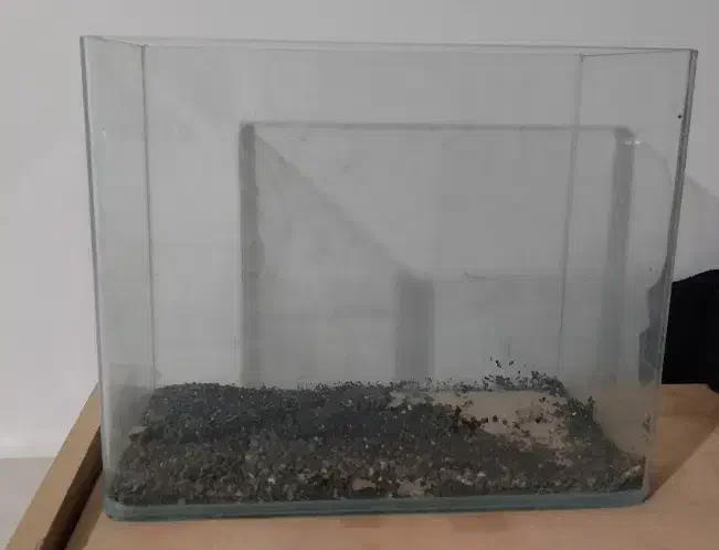 اکواریوم شرکتی لبه گرد سایز کوچک|ماهی|تربت‌حیدریه, حسنی بالا|دیوار