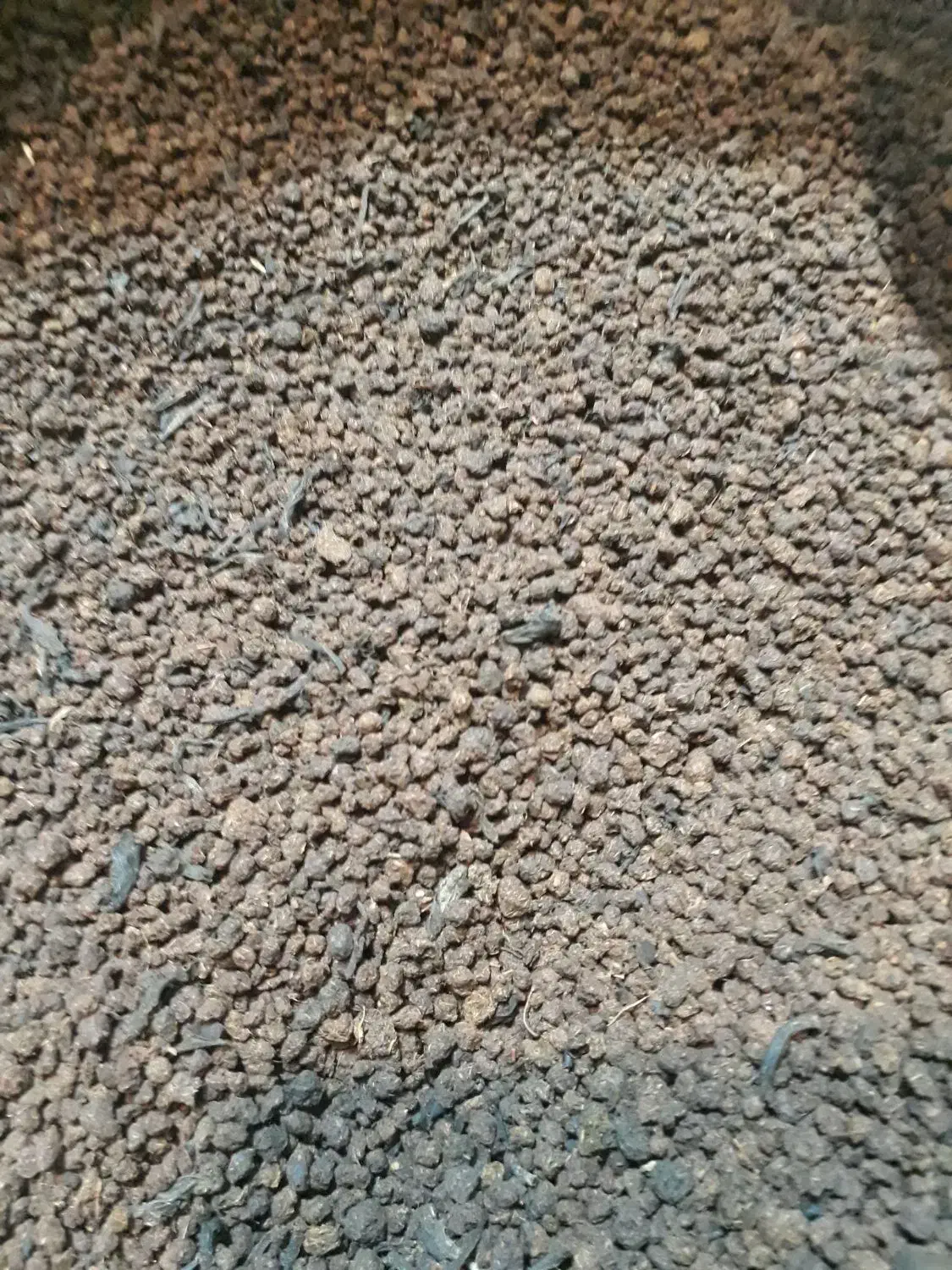 چای کله مورچه درجه یک هندی|خوردنی و آشامیدنی|اصفهان, جلفا|دیوار