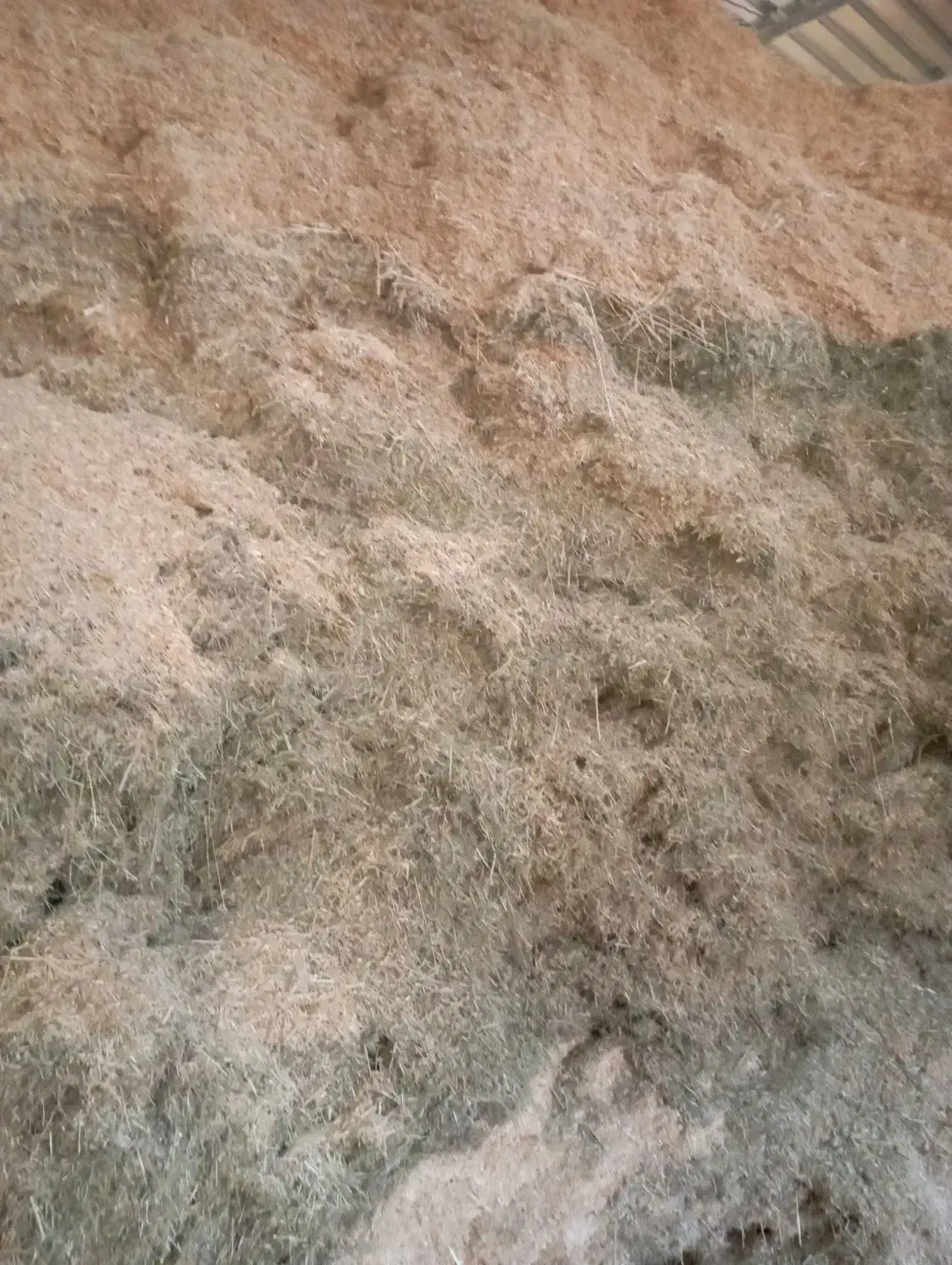 کاه|لوازم جانبی حیوانات|خلیفان, |دیوار