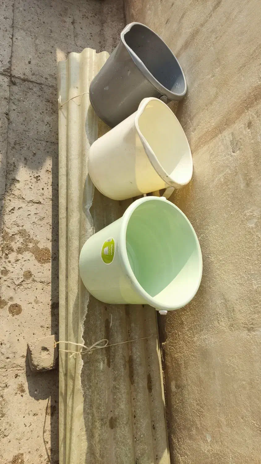 سطل مقاوم پلاستیکی|ظروف نگهدارنده، پلاستیکی، یکبارمصرف|ری, دیلمان|دیوار