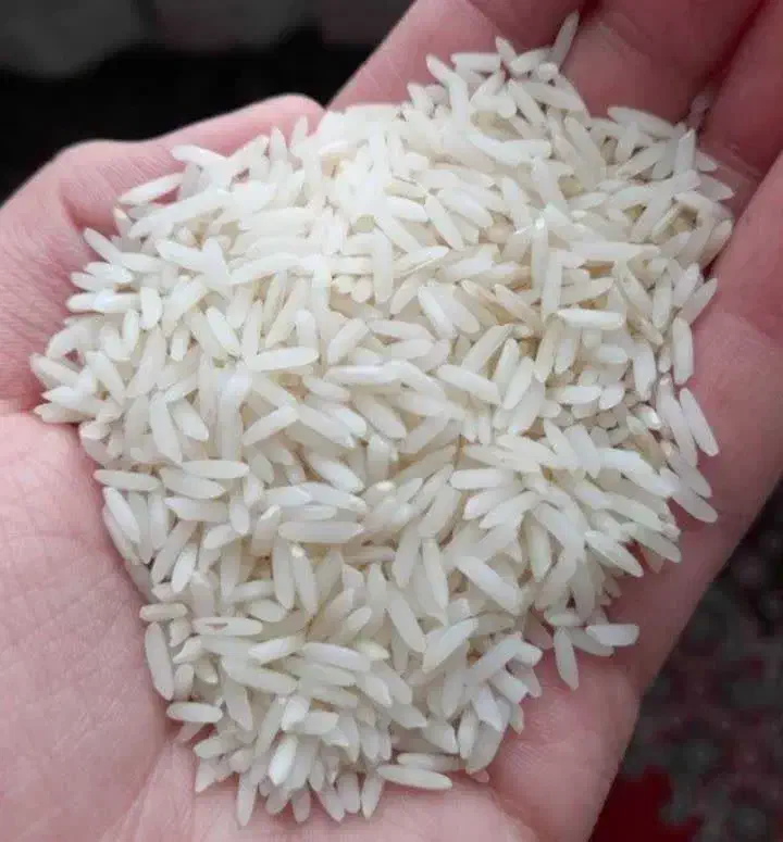 برنج نیم دونه سر لاشه و سالم خوش پخت|خوردنی و آشامیدنی|نسیم‌شهر, |دیوار