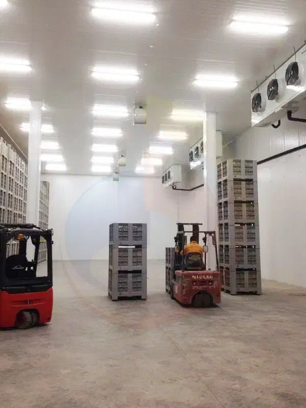 971 اجرا و فروش انواع 971 سردخانه 971|ماشینآلات صنعتی|سیرجان, |دیوار