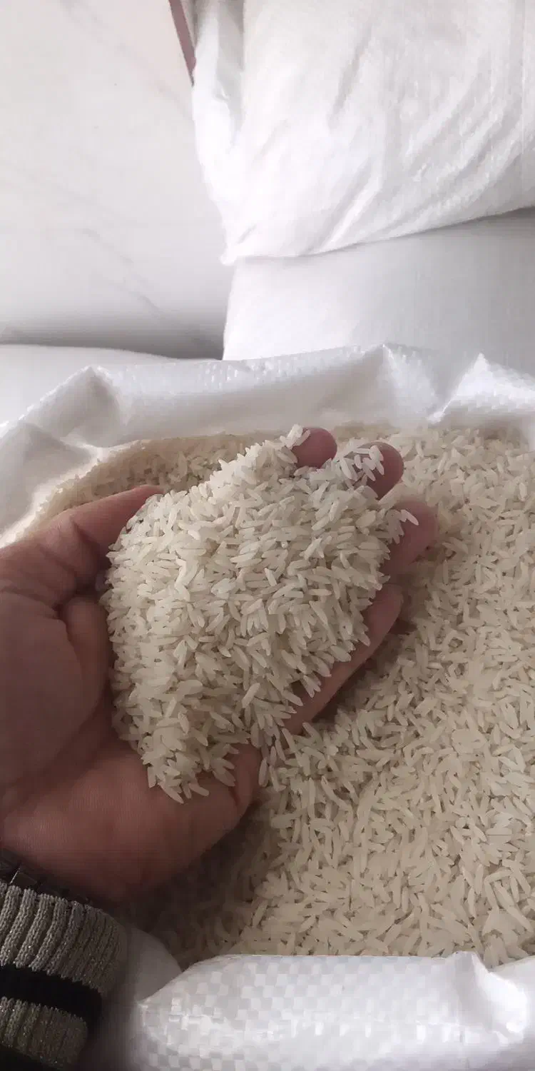 برنج درجه یک گلستان|خوردنی و آشامیدنی|گرگان, |دیوار