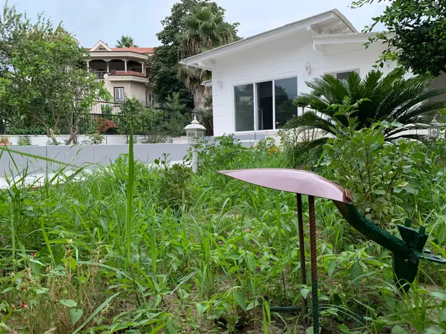 فروش زمین، ۵۵۰ متر، متل قو (سلمان شهر) دریاگوشه|فروش زمین و ملک کلنگی|سلمان‌شهر, |دیوار