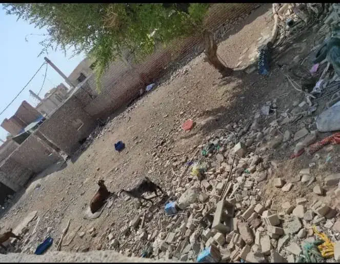 زمین|فروش زمین و ملک کلنگی|ایرانشهر, |دیوار