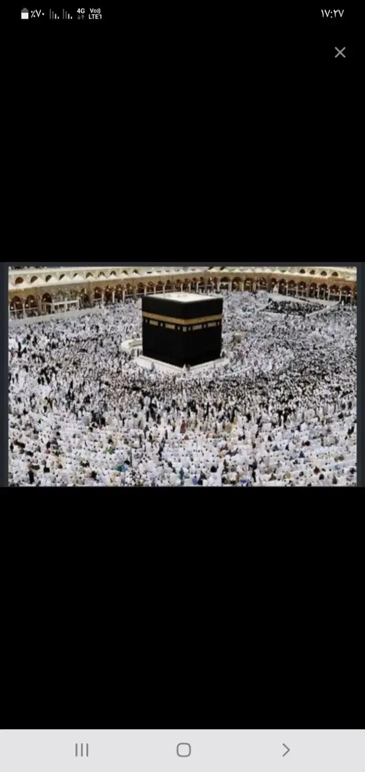 فروش دو عدد فیش عمره مفرده آماده اعزام|تور و چارتر|یزد, |دیوار