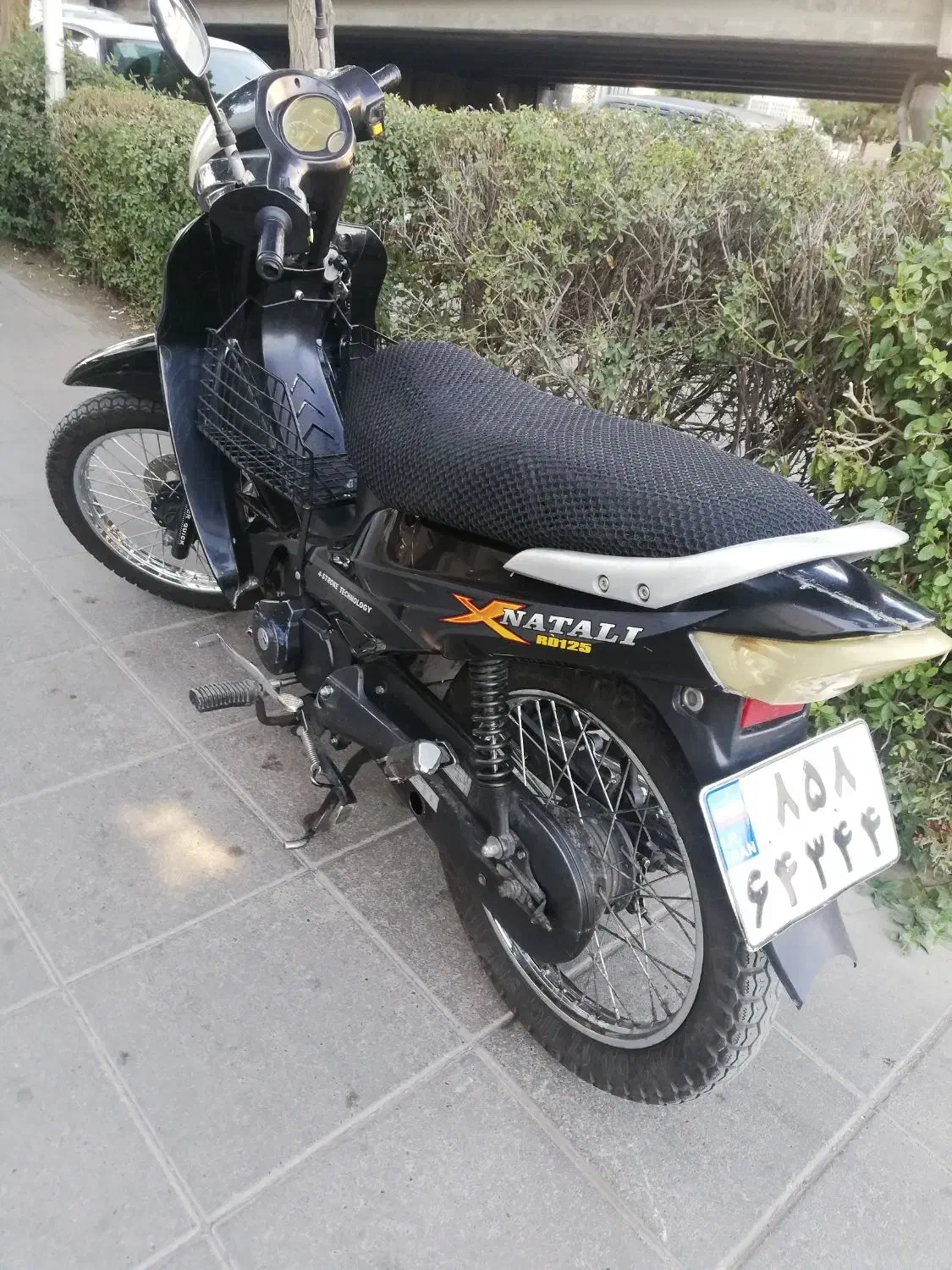 ناتالی125|موتورسیکلت|مشهد, شریف|دیوار