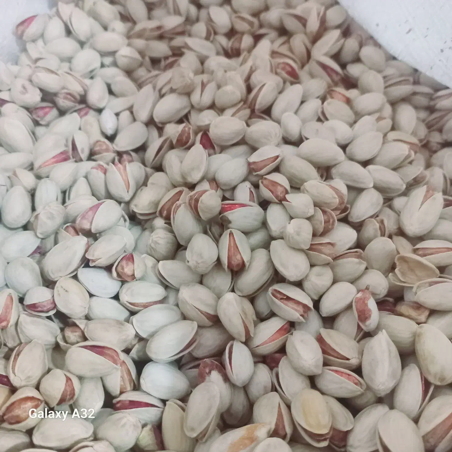 پسته احمد آقایی خندون|خوردنی و آشامیدنی|سروستان, |دیوار