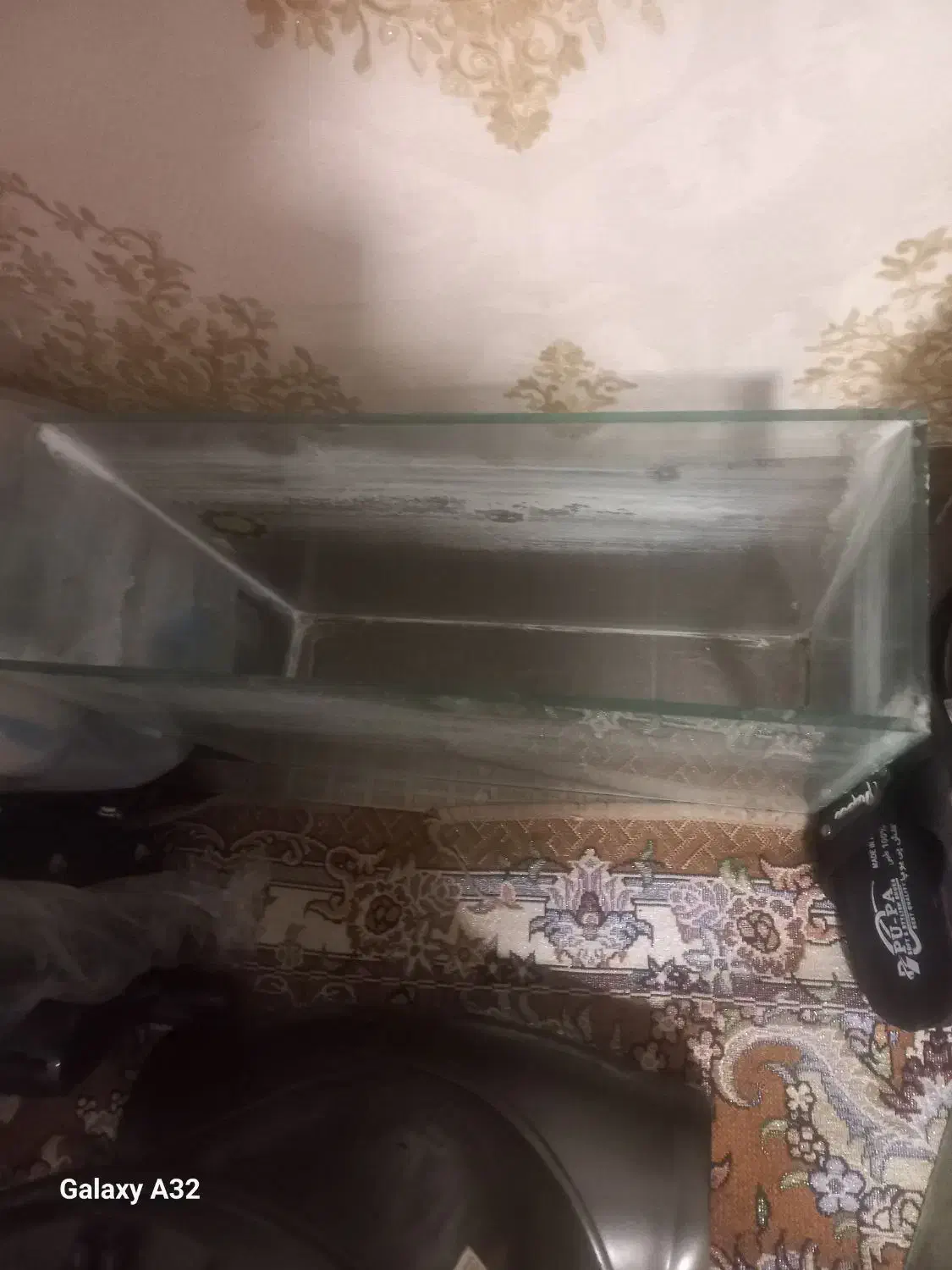 شیشه آکواریوم|ماهی|خرم‌آباد, |دیوار