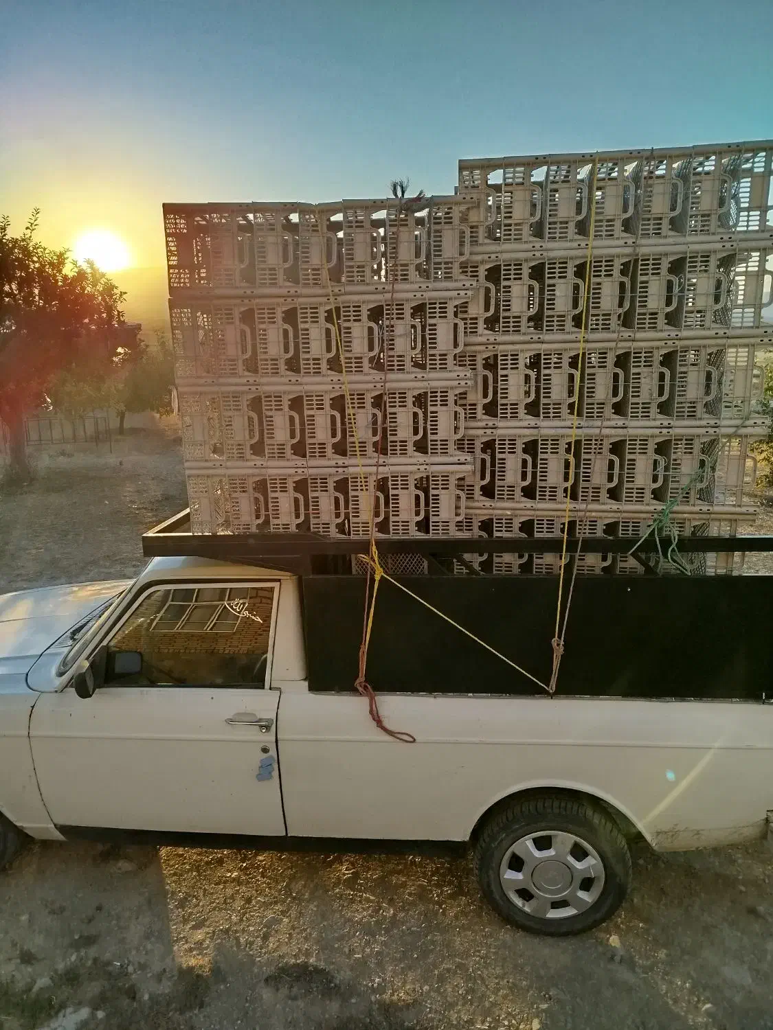 پیکان وانت مدل 89|خودرو سواری و وانت|صومای برادوست, |دیوار