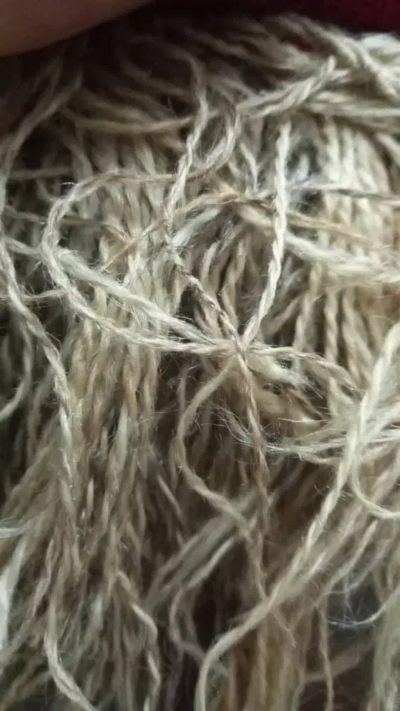 گلیم|گلیم، جاجیم، گبه|شیراز, غدیر جنوبی|دیوار