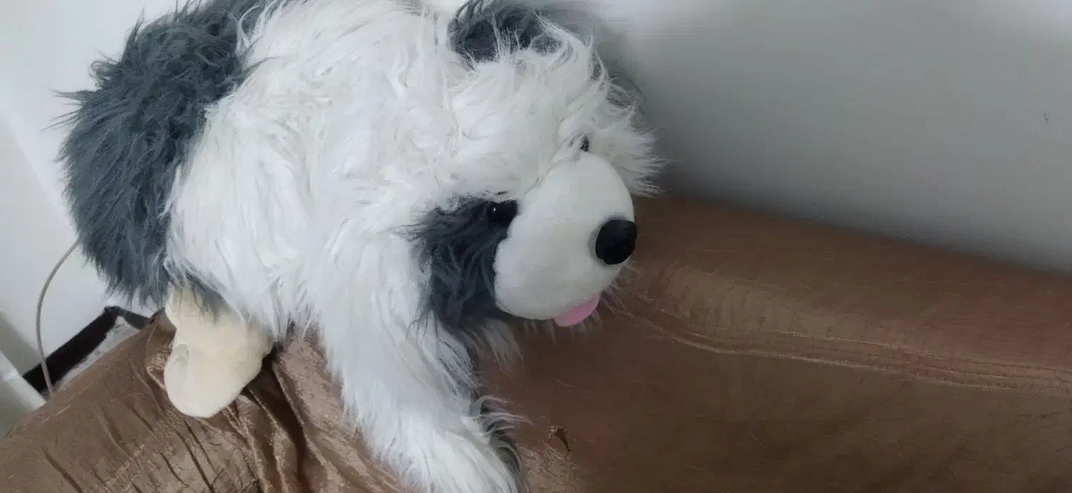 عروسک پولیش بزرگ|اسباببازی|تهران, والفجر (افسریه)|دیوار