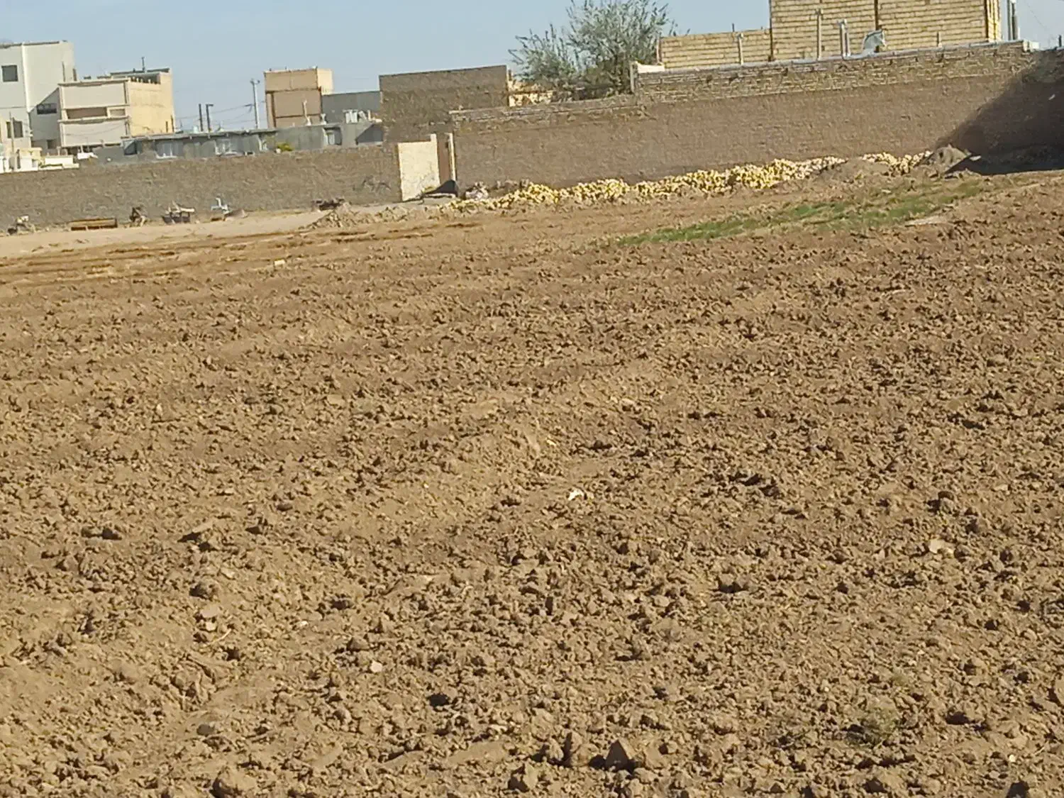 زمین فروشی|فروش زمین و ملک کلنگی|کاشمر, |دیوار