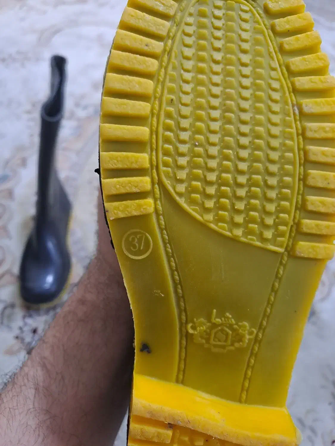 چکمه وکفش|کیف، کفش، کمربند|گرگان, |دیوار