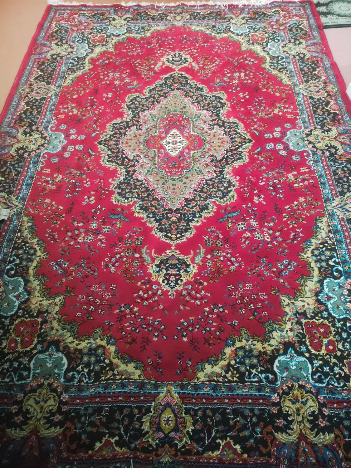 فرش 9 متری کاشان 500 شانه|فرش|رشت, پیرکلاچای|دیوار