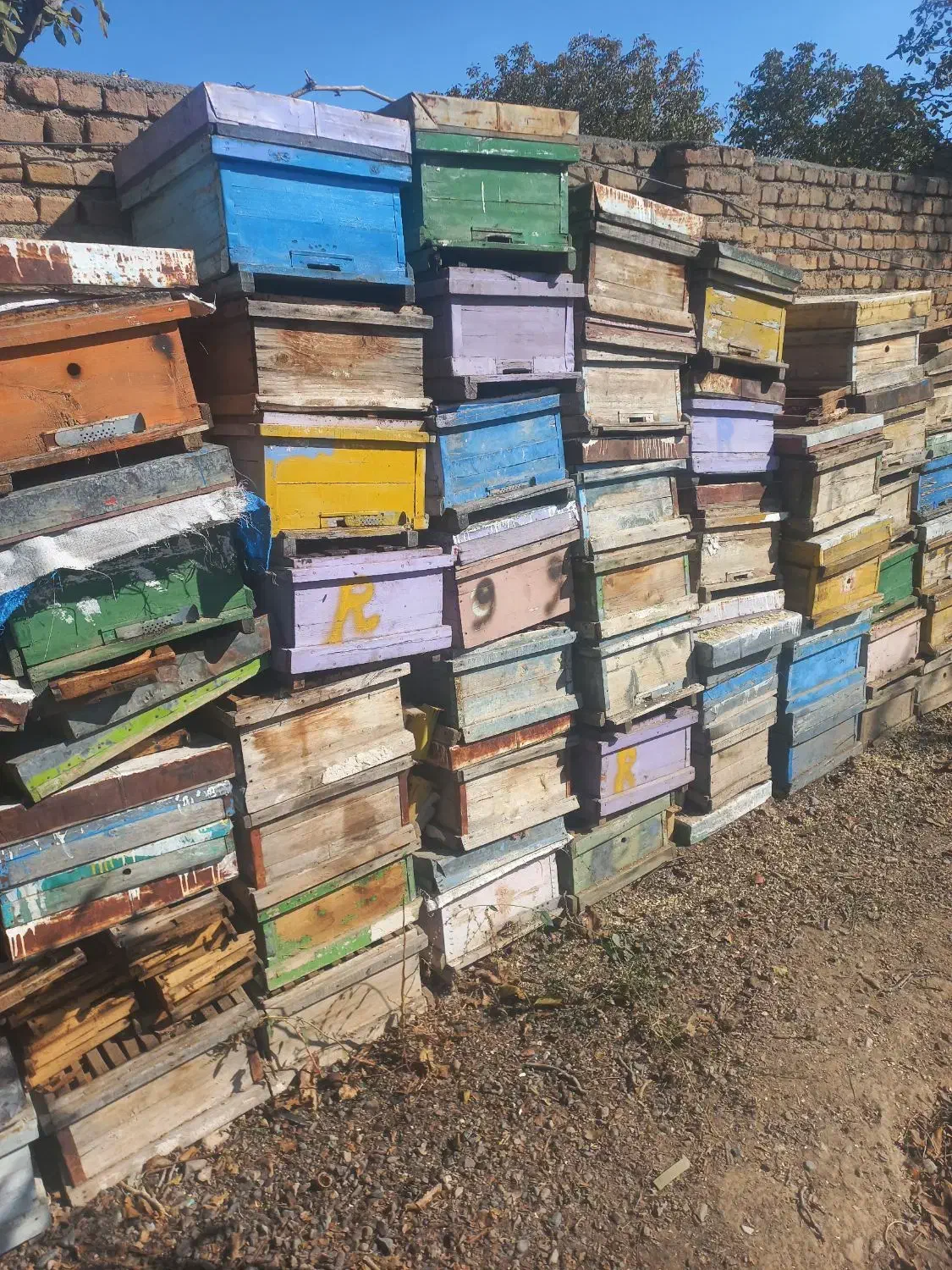 فروش کندو با زنبور  و کندو خالی|حیوانات مزرعه|شبستر, |دیوار