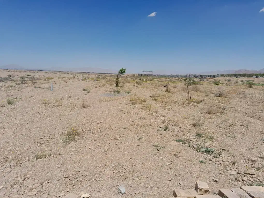 زمین باغی خوش قیمت معاوضه با ماشین هم دارم|فروش زمین و ملک کلنگی|مبارکه, |دیوار