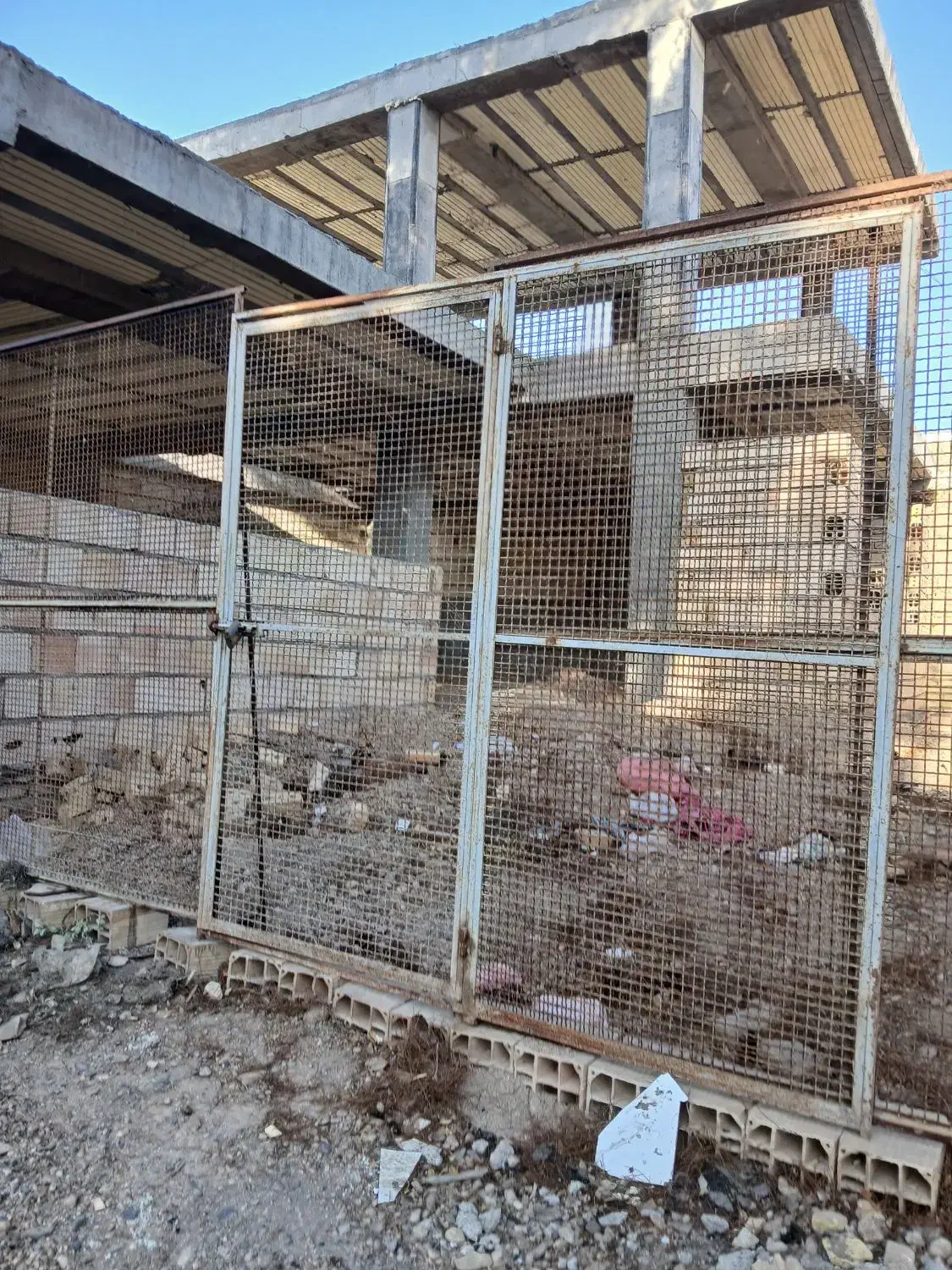 استا سیمانگاری وتخریب ساختمان|خدمات پیشه و مهارت|دامغان, |دیوار