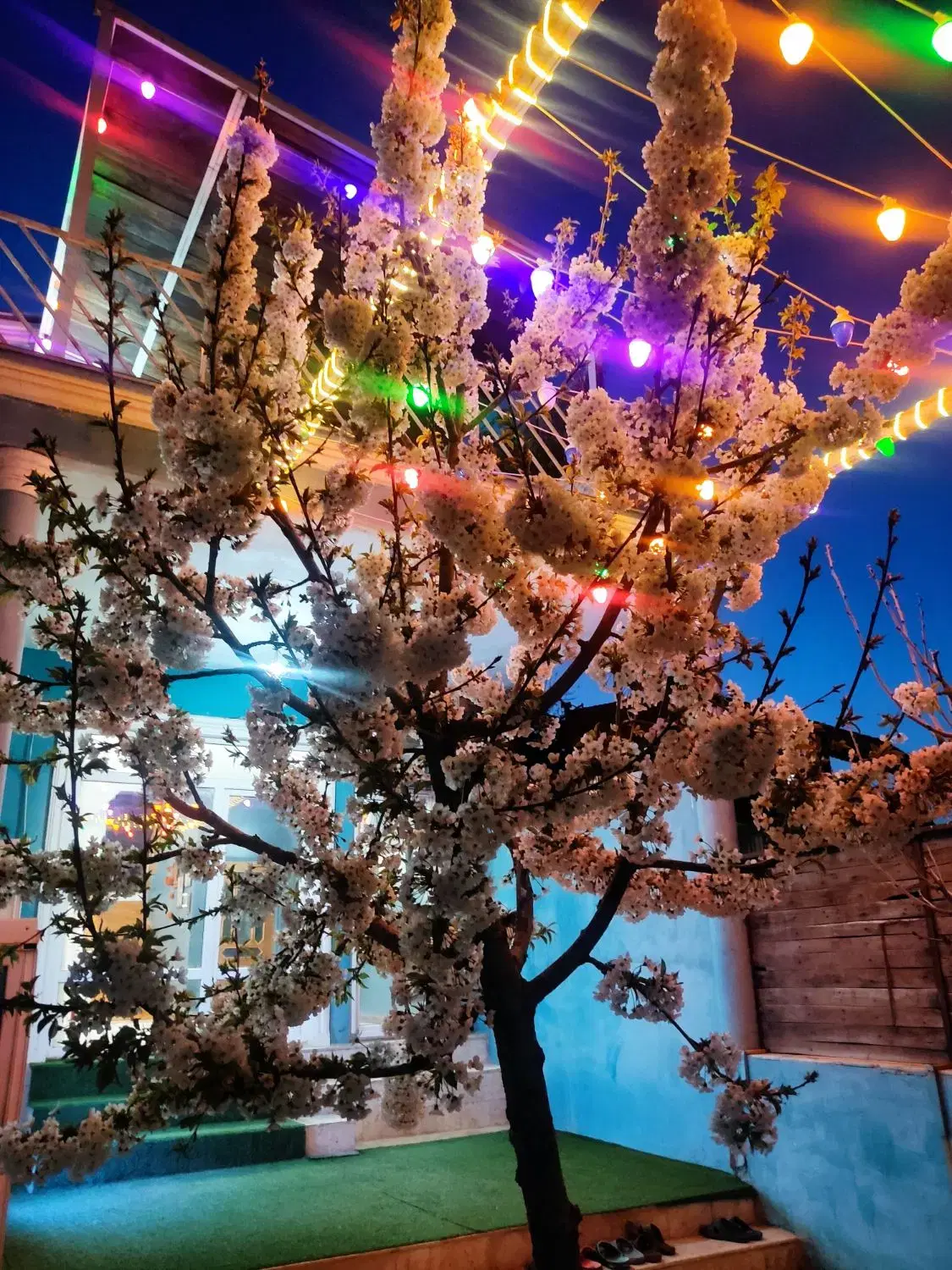 تصویر 11