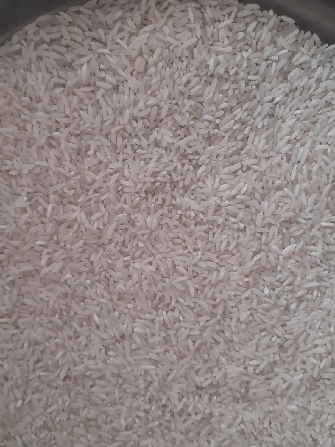 برنج گیلان|خوردنی و آشامیدنی|نجفآباد, هفده شهریور|دیوار