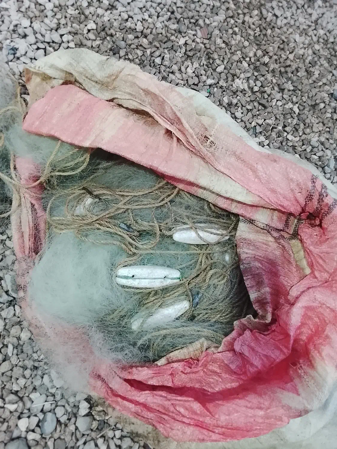 تور 24میل 26میل|ماهیگیری|بندر ترکمن, |دیوار