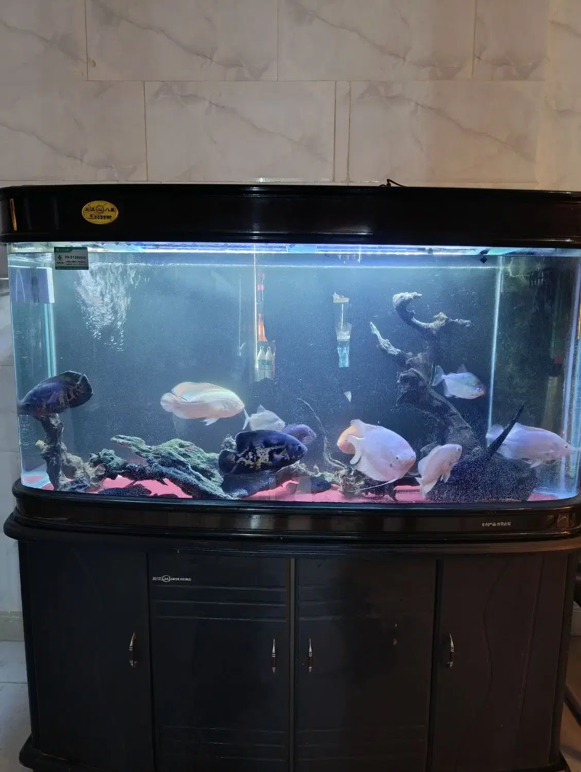 سه عدد آکواریم شرکتی|ماهی|گلبهار, شهر جدید گلبهار|دیوار