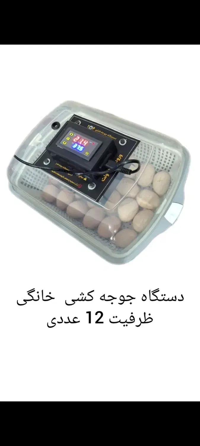 +دستگاه جوجه کشیsadrati0 +بی دردسر|لوازم جانبی حیوانات|اهواز, شهرک رزمندگان|دیوار