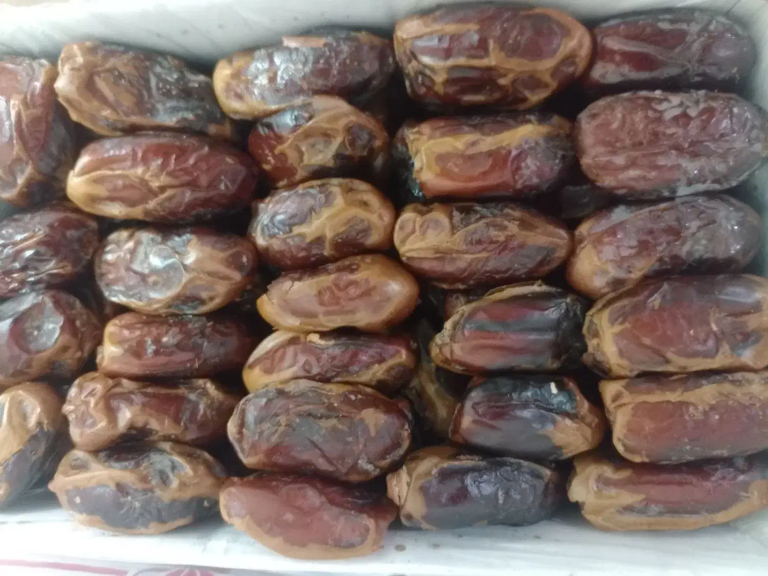 خرما|خوردنی و آشامیدنی|مشهد, موعود|دیوار