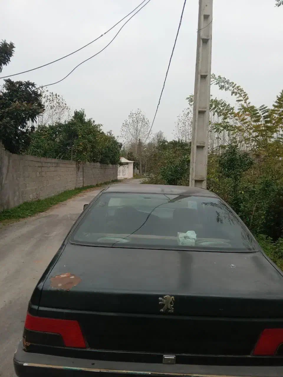 پژو ۴۰۵|خودرو سواری و وانت|رشت, منظریه|دیوار