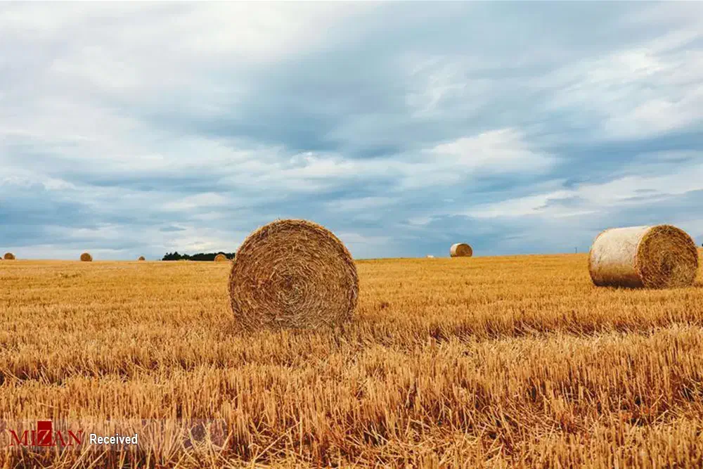 فروش امتیاز بهزیستی|فروش زمین و ملک کلنگی|نقده, |دیوار