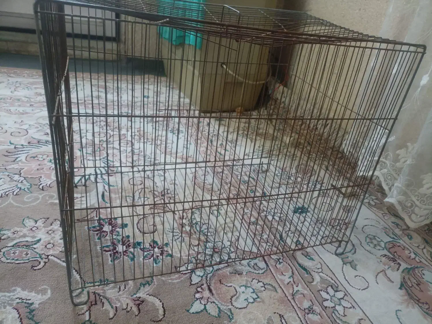 قفس پرنده|لوازم جانبی حیوانات|کرج, حصار|دیوار
